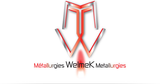 Logo Welmek